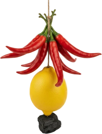 Nimbu-mirchi lucky charm from India